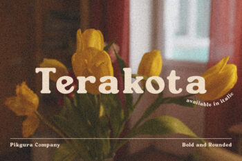 Terakota